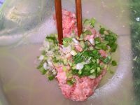 美味的鲜肉云吞做法图解6)