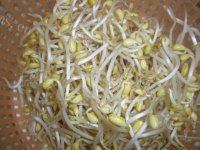 家常菜爆炒黄豆芽做法图解1)
