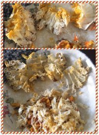 色香味浓的蟹黄豆腐做法图解1)