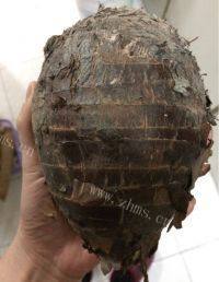 美味的芋头烧排骨做法图解1)