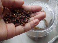香喷的牙签羊肉做法图解5)