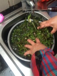 美味的荠菜馄饨做法图解4)