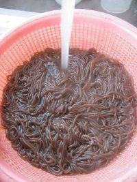 软嫩的酸辣蕨根粉做法图解5)