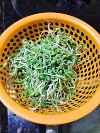 美味的炒黄豆芽做法图解1)