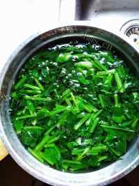 家常菜菠菜炒粉丝做法图解3)