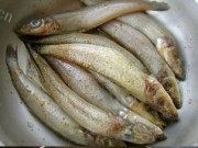 酥煎竹签沙丁鱼做法图解1)