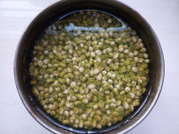 好吃的蜂蜜绿豆饼做法图解1)