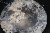 美味的翡翠白玉汤做法图解5)