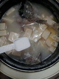 简单版鲫鱼豆腐汤做法图解8)