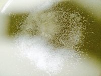 味道美味的椰蓉牛奶冻做法图解7)
