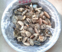 好吃的香菜爆花蛤做法图解1)