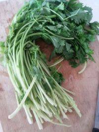 好吃的芹菜猪肉虾仁水饺做法图解5)