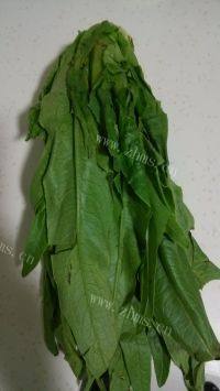 甘脆的清炒生菜做法图解1)