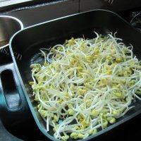 家常菜酸辣黄豆芽做法图解3)