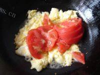 西红柿鸡蛋面的做法图解四