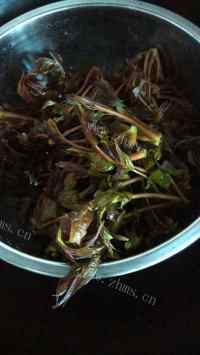 家常菜香椿芽拌豆腐做法图解1)