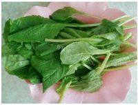 简单的小白菜豆腐汤做法图解3)