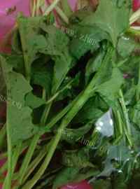 美味的猪肝菠菜粥做法图解3)