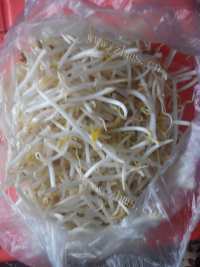 家常菜醋溜豆芽做法图解1)