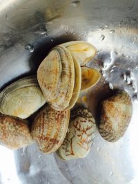 美味的海鲜面做法图解1)