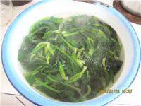 家常菜粉丝拌菠菜做法图解3)