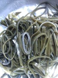 美味的蒜蓉海带做法图解3)
