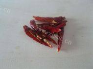 健康的酸辣绿豆芽做法图解2)