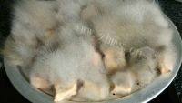自制豆腐乳做法图解1)