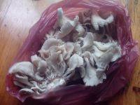家常菜素炒蘑菇做法图解1)