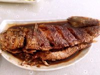 美味的干烧黄花鱼