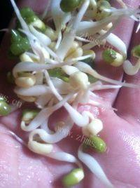 自制自发豆芽做法图解4)