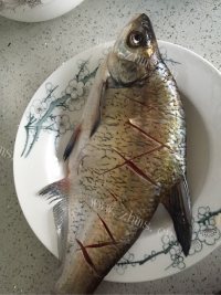 自制红烧野生鳊鱼做法图解1)
