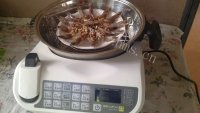 美味的蒜蓉粉丝蒸虾做法图解7)