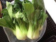 热腾腾的香菇青菜做法图解4)