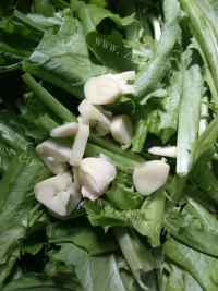 家常菜炝炒油麦菜做法图解2)