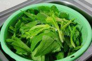 家常菜豆豉鲮鱼炒油麦菜做法图解4)