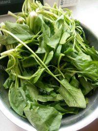 家常菜凉拌菠菜做法图解1)