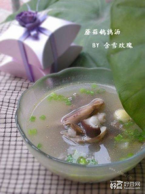 蘑菇鹌鹑汤
