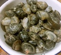 营养的蚬子蒸蛋羹做法图解3)