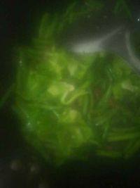 自制豆角烧肉