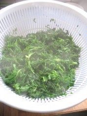 荠菜鲜肉馄饨做法图解5)