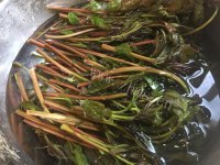 美味的炸香椿鱼做法图解1)