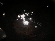 美味清蒸茄子做法图解7)