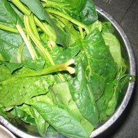 家常海米炒菠菜做法图解1)