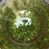 自制葱香桃酥做法图解1)