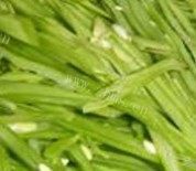 素炒芸豆丝做法图解2)