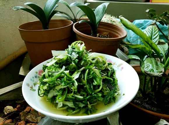 美味营养的凉拌苦菊