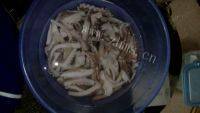 自制芹菜炒鱿鱼做法图解1)