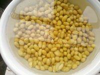 美味的黄豆焖猪脚做法图解2)