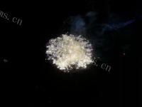 家常菜蚝油菠菜做法图解4)